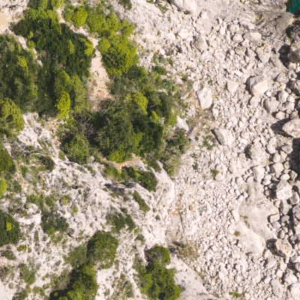 CAPRI  POSITANO FULL DAY PRIVATE TOUR